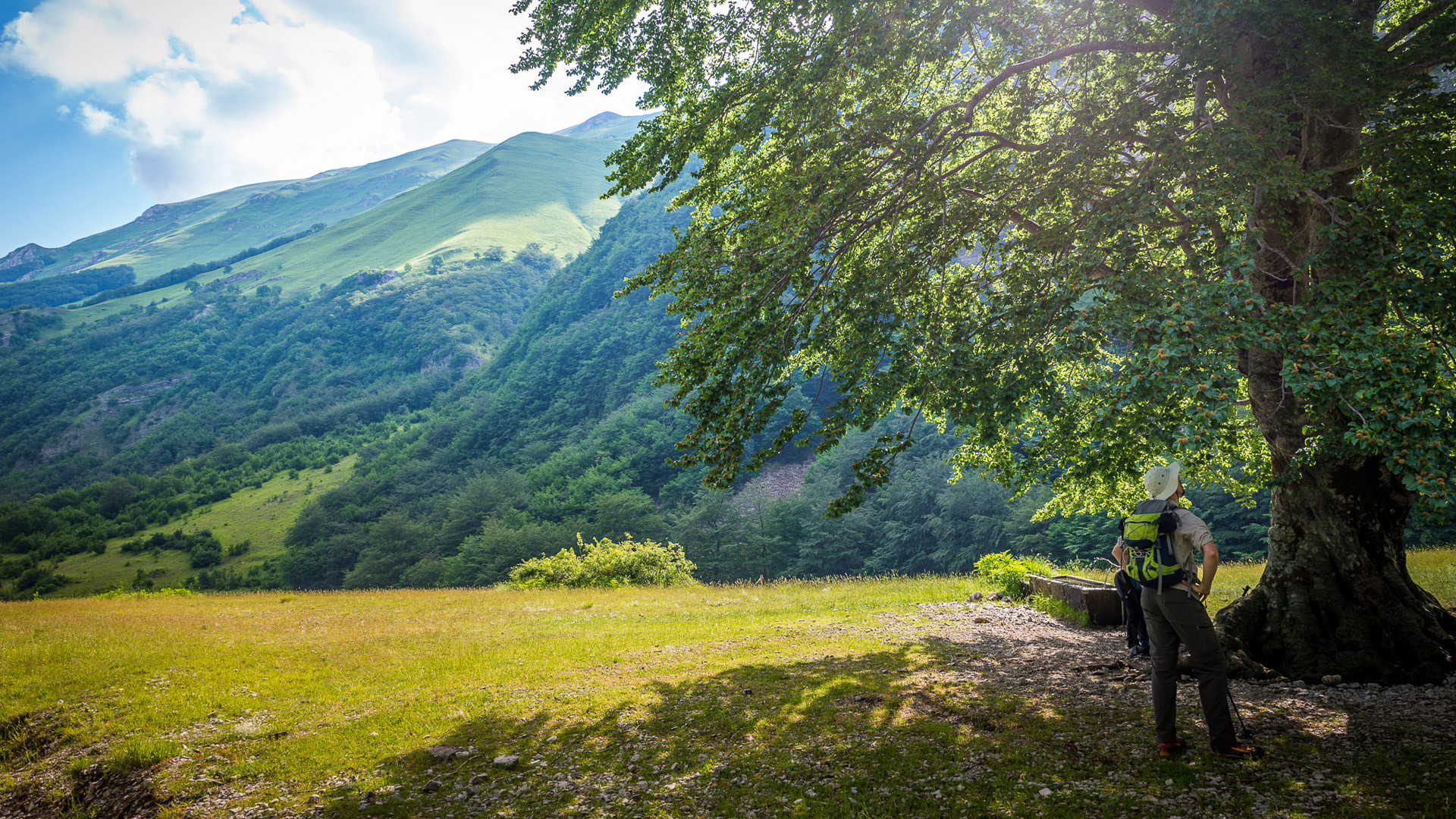 VIAGGI ZAINO IN SPALLA
