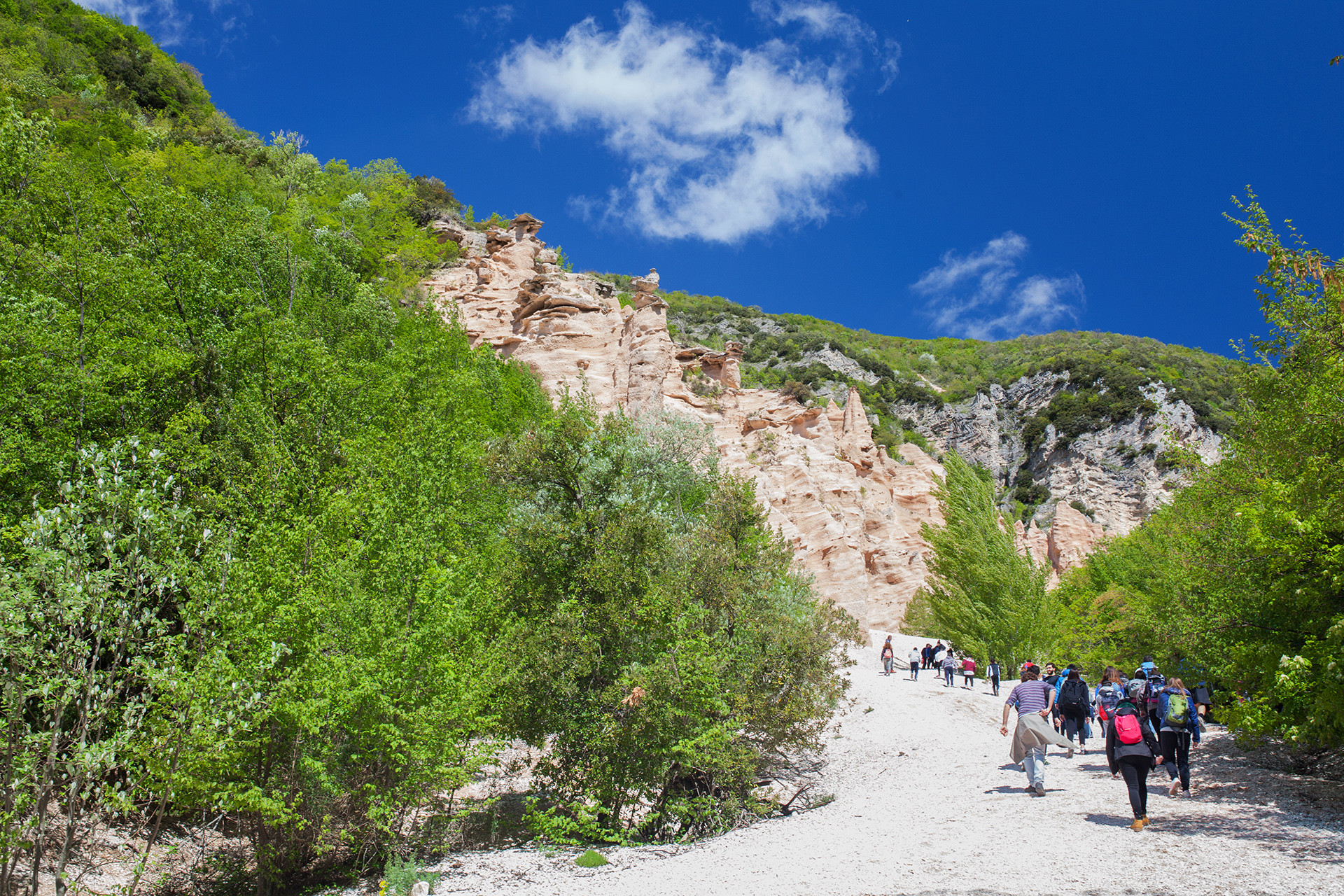 Lame Rosse