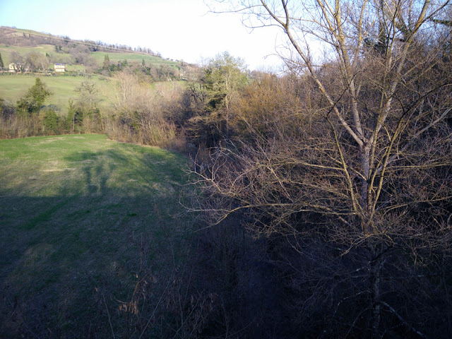 GUARDA CHE TE FREGO LO SALE: UNA STORIA DIMENTICATA DELLE CAMPAGNE MACERATESI