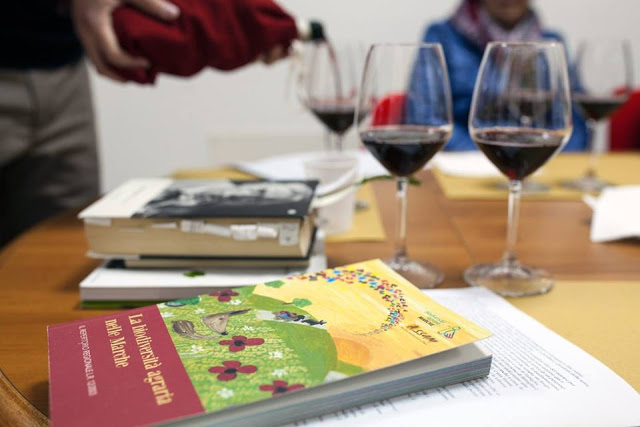 18 LIBRI PER SCOPRIRE L'ENOGASTRONOMIA MACERATESE, DAL CIAUSCOLO AI VINCISGRASSI