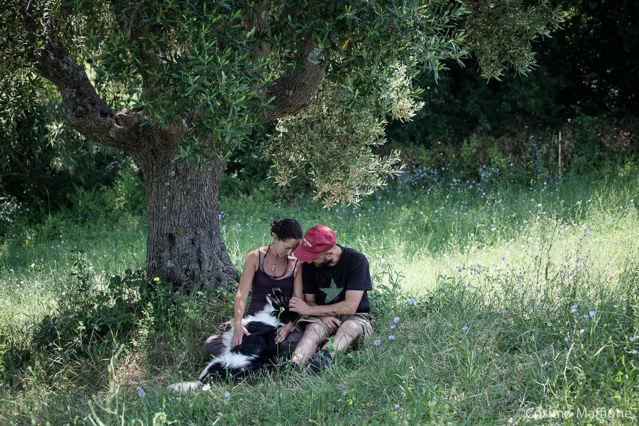 IN SINTONIA CON LA NATURA: COSTA DIGIANO E LA BIODIVERSITÀ MARCHIGIANA