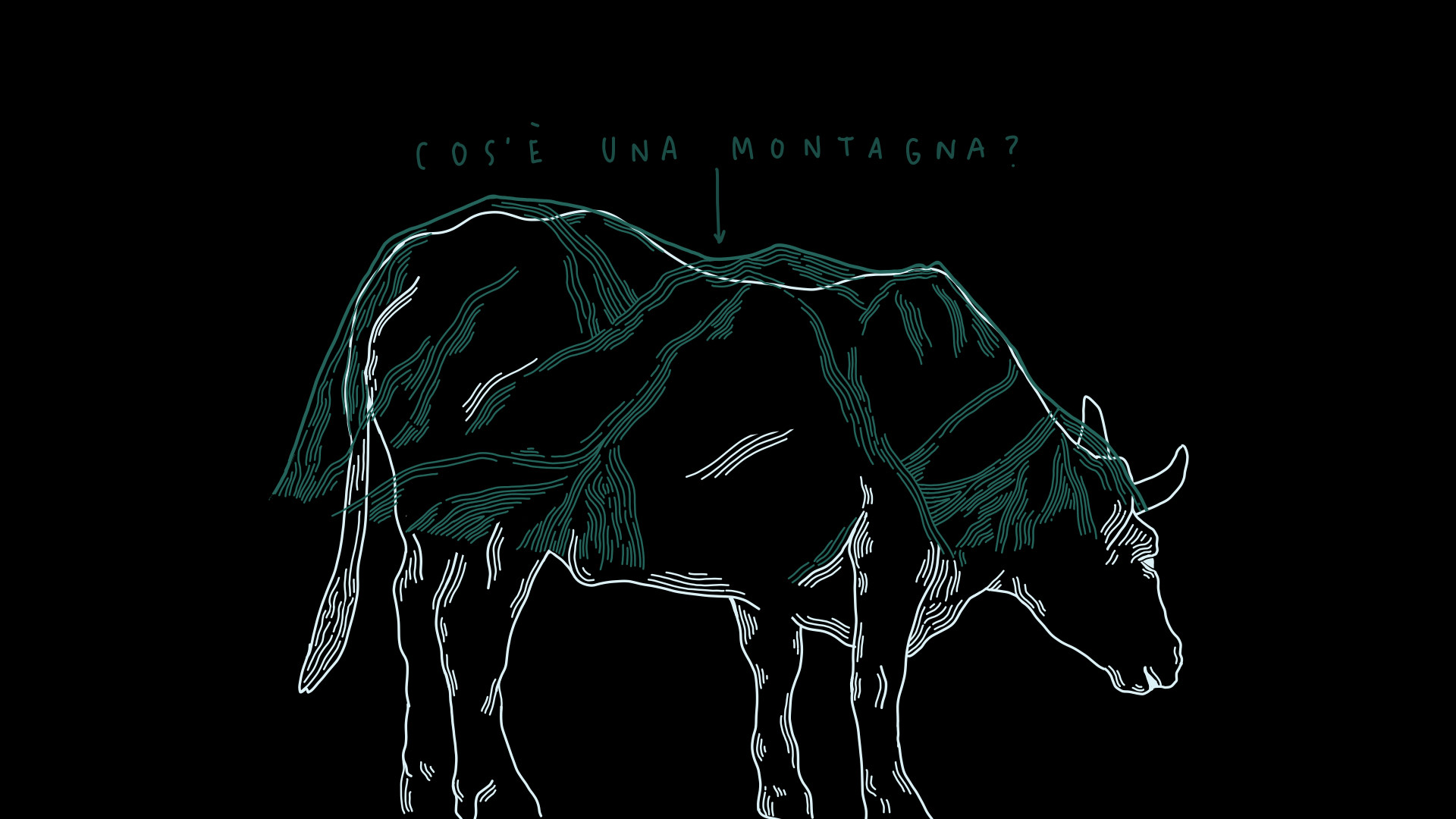 Monte Bove - Sibillini immaginari