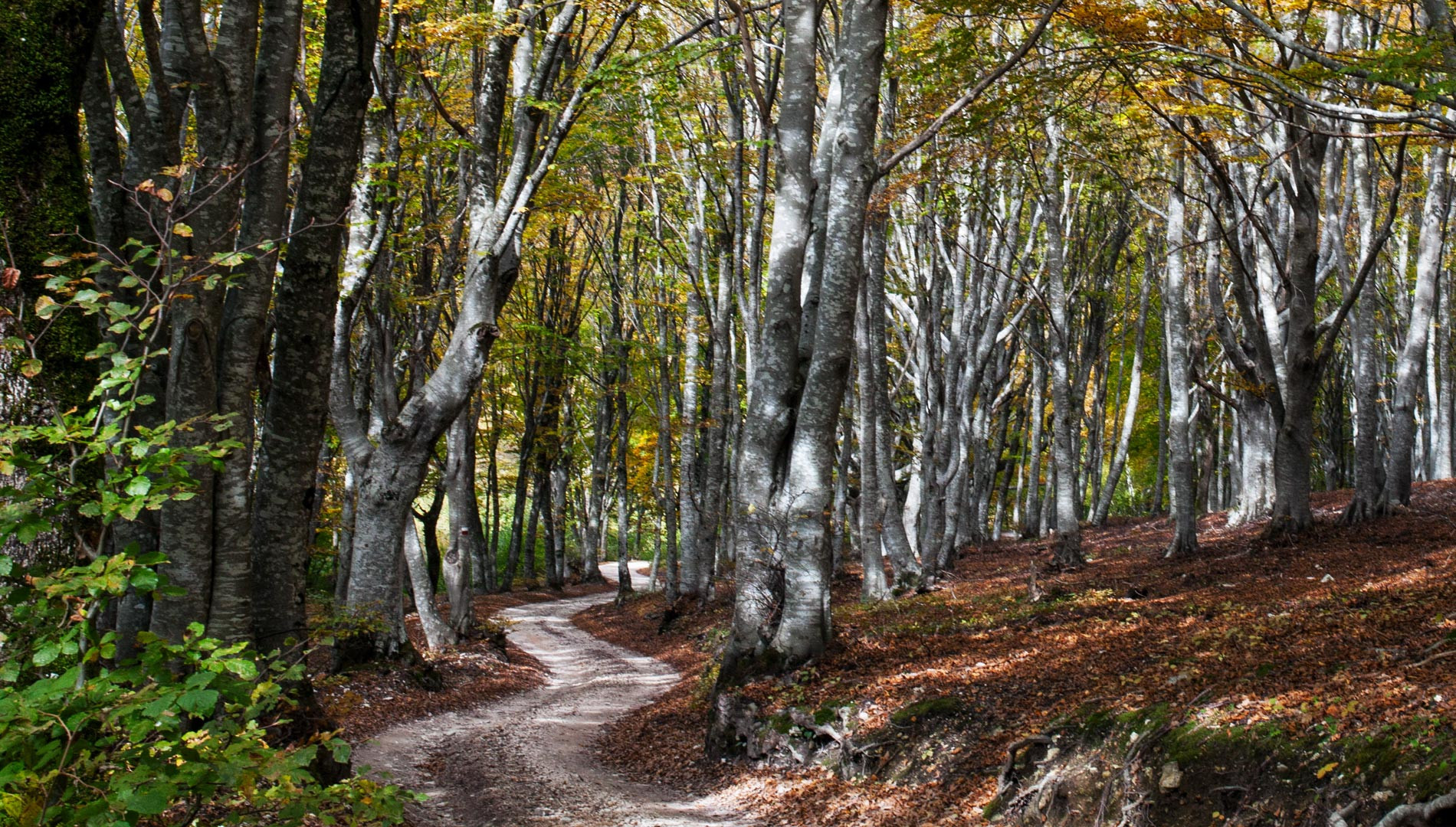 Marche Active Tourism