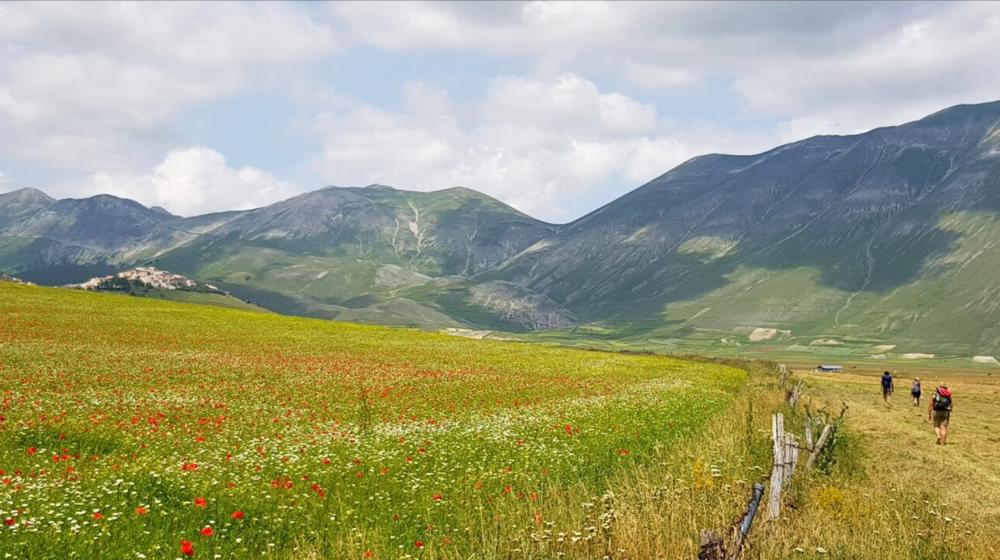 2-cammino-terre-mutate-tappa-8-castelluccio-di-norcia-arquata-del-tronto-21-1400x720.jpg