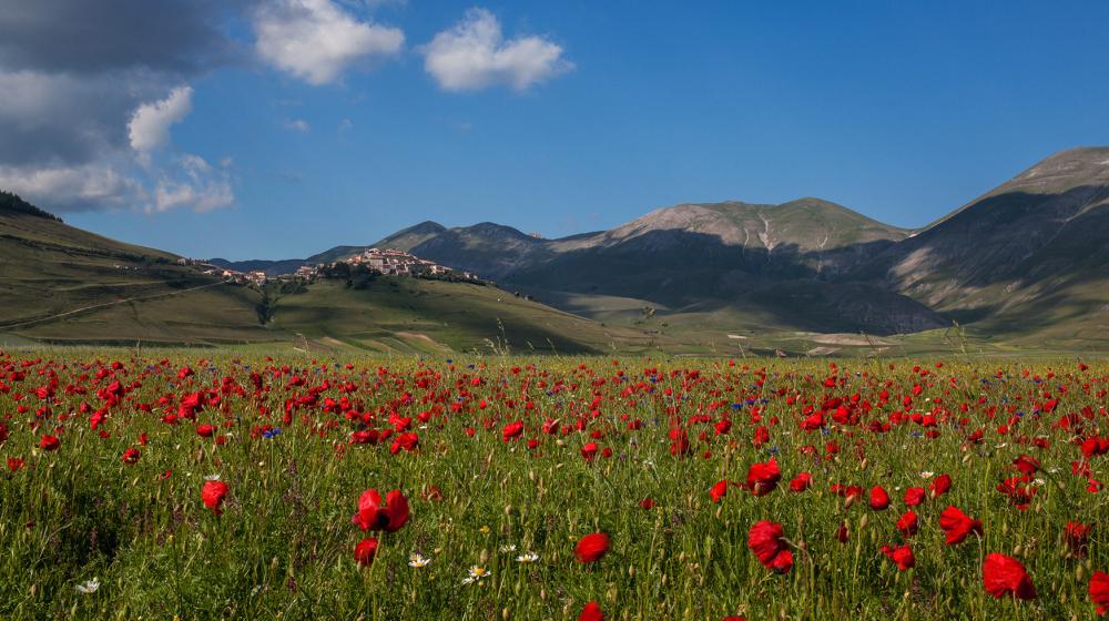 castelluccio-fioritura-2.jpg