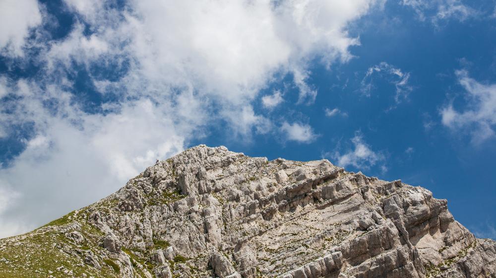 palazzo-borghese-estate-2 (2).jpg