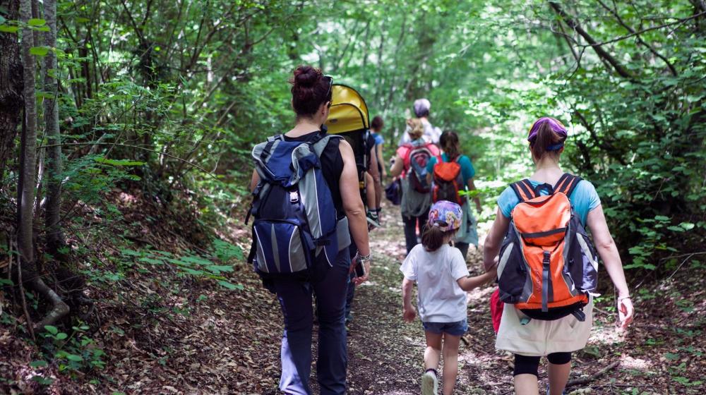 marche-tassinete-bosco-escursione.jpeg