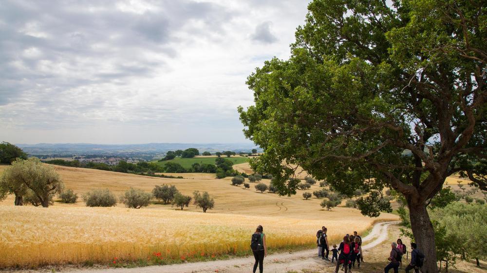 marche-cingoli-campagne.jpg