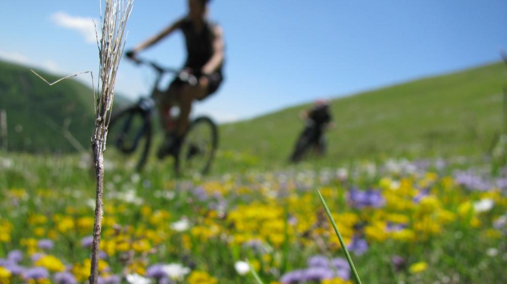 marche-castelluccio-fioritura-mtb.jpeg
