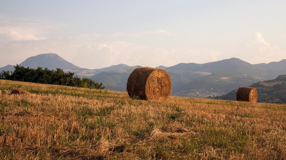 marche-cupramontana-panorama.jpeg