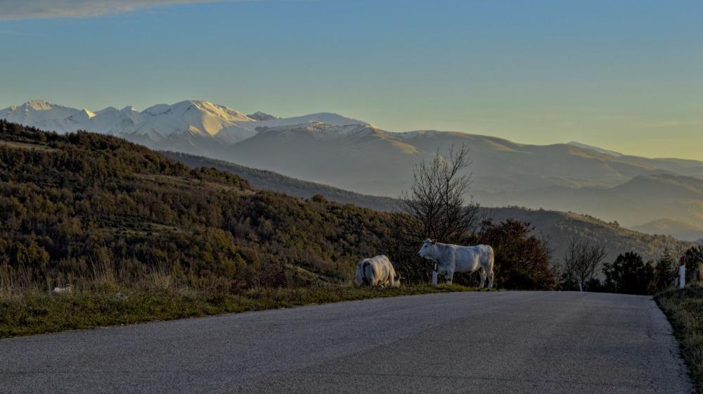 cammino-fuori-dal-comune-Torre Beregna_Camerino.jpg