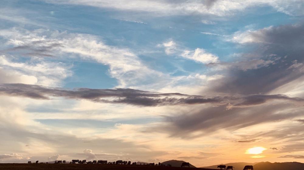 cammino-fuori-dal-comune-Monte Letegge-Camerino-Serrapetrona.jpg