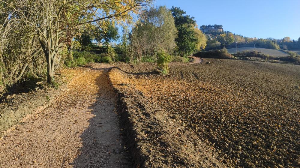 cammino-fuori-dal-comune-Camerino (2).jpeg