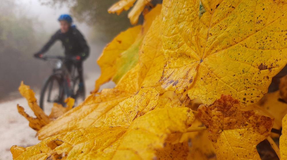 marche-canfaito-autunno-foliage-mtb.jpg