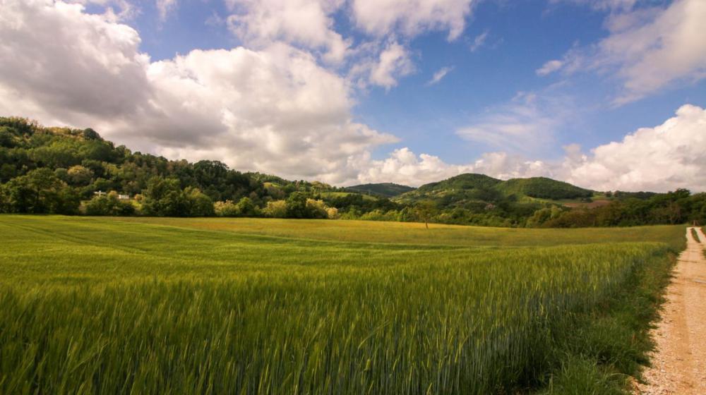 2024-05-08_IMG8608_senza titolocammino_cappuccini_marche_fabriano_ascoli_piceno_trekking_natura_spirituralità.jpg