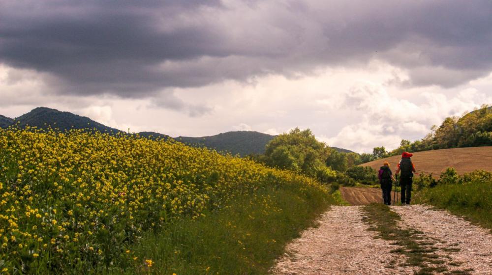 2024-04-26_IMG4985_senza titolocammino_cappuccini_marche_natura_cultura_trekking_2025 (1).jpg