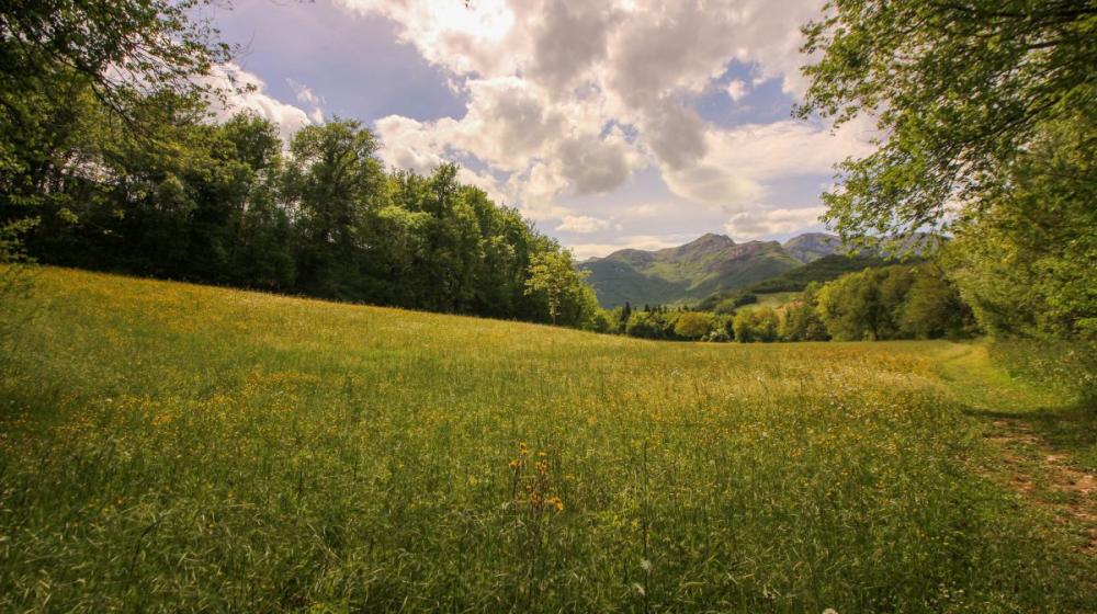 2024-05-06_IMG8070_senza titolocammino_cappuccini_marche_fabriano_sanseverino_trekking_natura_spirituralità.jpg