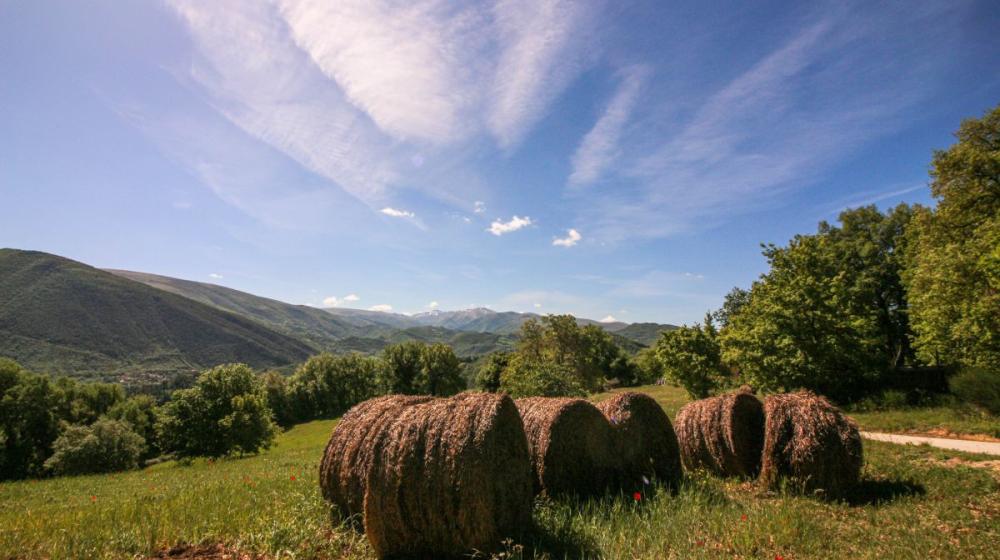 2024-05-05_IMG7567_senza titolocammino_cappuccini_marche_fabriano_sanseverino_trekking_natura_spirituralità.jpg