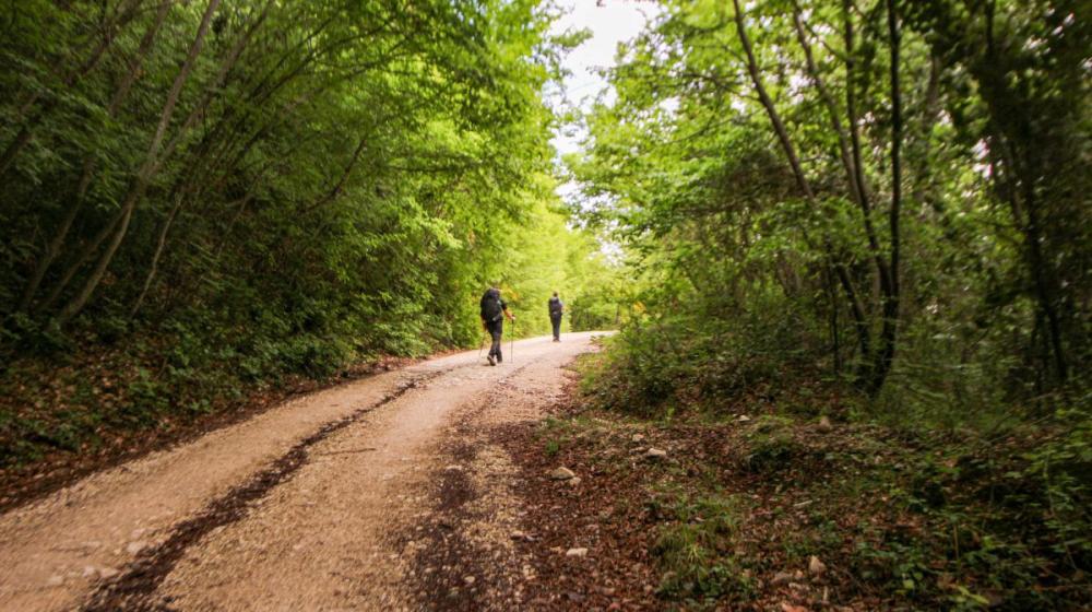2024-05-04_IMG7282_senza titolocammino_cappuccini_marche_fabriano_sanseverino_trekking_natura_spirituralità.jpg