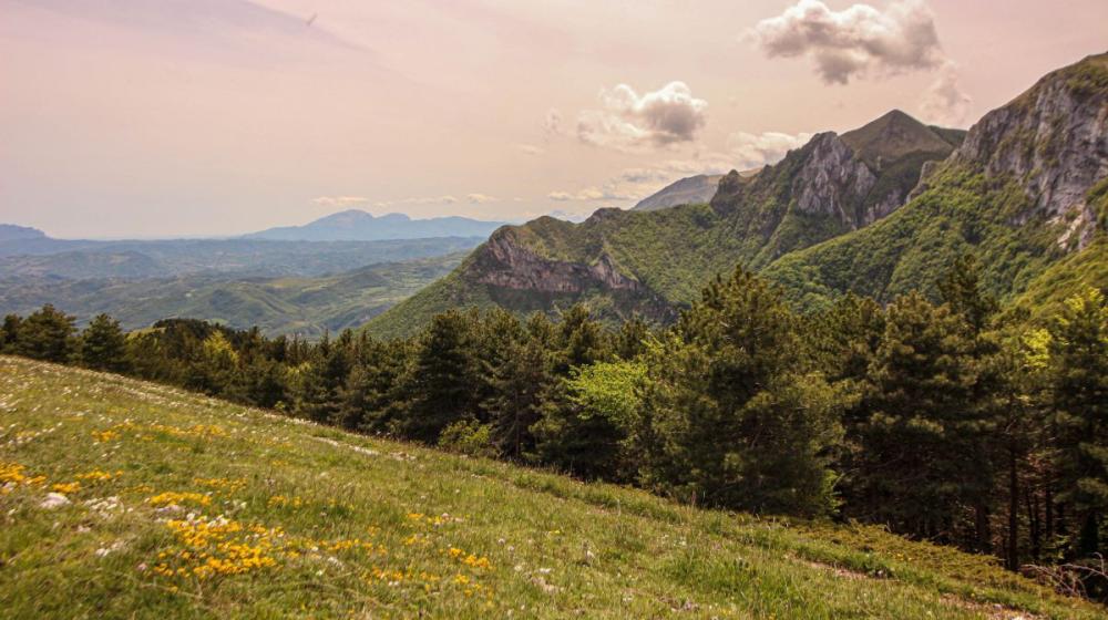 2024-05-06_IMG7953_senza titolocammino_cappuccini_marche_fabriano_sanseverino_trekking_natura_spirituralità.jpg