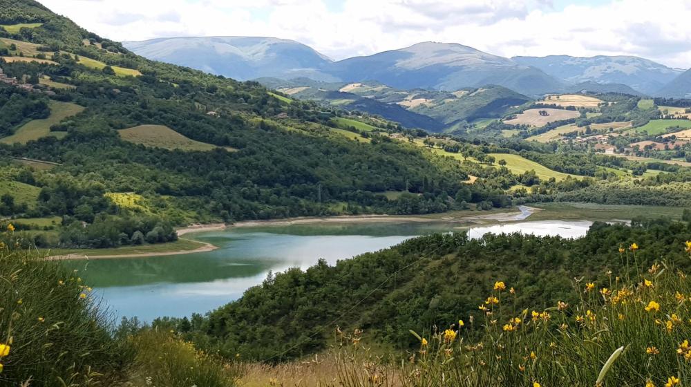 Castelluccio_Norcia-fioritura_Pian_Grande_cammino-terre-mutate-castelluccio-fioritura-aquila-trekking-marche-umbria-soli
