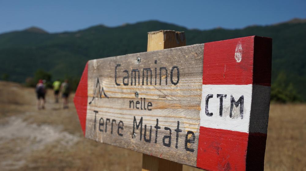 cammino_terre_mutate (1).jpg