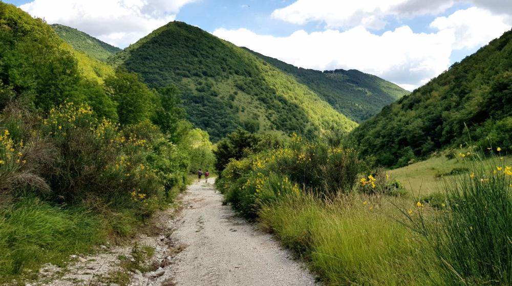 1Valle_Toiano_Cammino_Terre Mutate_TAPPA_Fabriano-Matelica_cammino-terre-mutate-castelluccio-fioritura-aquila-trekking-m