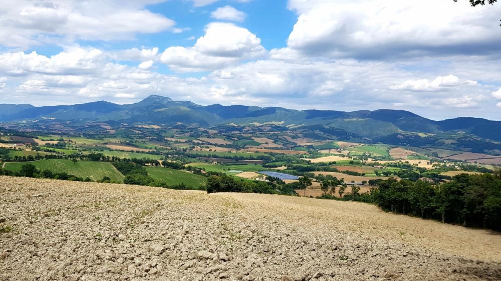 2Territorio_Cammino_Terre_Mutate_Tappa_Matelica-Camerino_cammino-terre-mutate-castelluccio-fioritura-aquila-trekking-mar