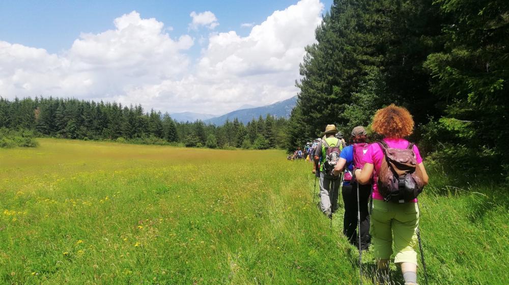 cammino nelle terre mutate.jpg