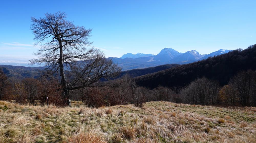 Il massiccio del Gran Sasso visto dalle cime dei Monti della Laga.jpg