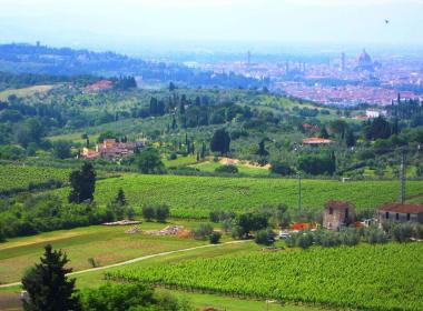 Le campagne e le città di Firenze e Lucca