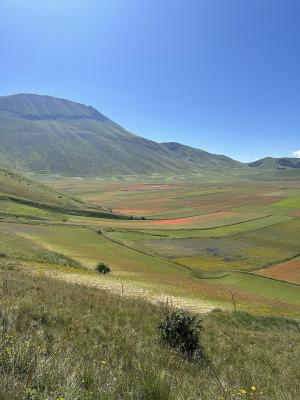 fioritura-castelluccio-norcia-02.jpg