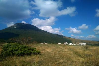IMG_20180905_111301trekking_cammino_forti_san_severino_marche_camerino_casetelraimondo_elcito_san_vicino_canfaito_respon