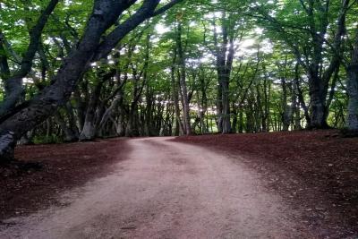 IMG_20180824_184301trekking_cammino_forti_san_severino_marche_camerino_casetelraimondo_elcito_san_vicino_canfaito_respon