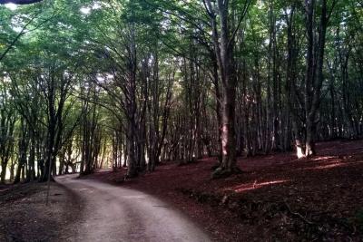 IMG_20180824_184557trekking_cammino_forti_san_severino_marche_camerino_casetelraimondo_elcito_san_vicino_canfaito_respon