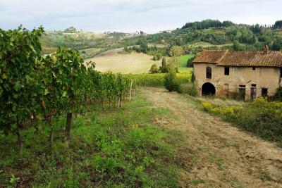Gambassi_San gimignano_ph Marta Zarellifrancigena_cammino_firenze_siena_san_gimignano_trekking_viaggio_a_piedi.jpg
