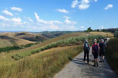 Hiking_Tuscany_Souther Toscany_wine_Italy_ph Marta Zarellifrancigena_cammino_firenze_siena_san_gimignano_trekking_viaggi