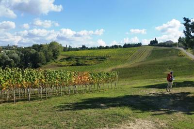 San_Miniato_Gambassi2_ph Marta Zarellifrancigena_cammino_firenze_siena_san_gimignano_trekking_viaggio_a_piedi.jpg
