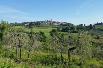 4_San_Gimignano_colle val_elsa_tuscany_italy_landscapefrancigena_cammino_firenze_siena_san_gimignano_trekking_viaggio_a_