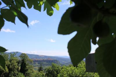 Day_5_Orvieto_ Via_ Francigena_Tuscia Laziale_Sutri_Orvieto_Bolsena_Roma_.jpg