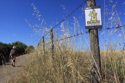 Day_6_Via_ Francigena_Tuscia Laziale_Sutri_Orvieto_Bolsena_Roma_.jpg