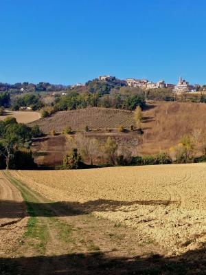 montalto-delle-marche-patrignone-5.jpg