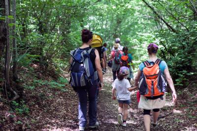 marche-tassinete-bosco-escursione.jpeg