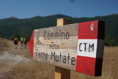 cammino_terre_mutate (1).jpg