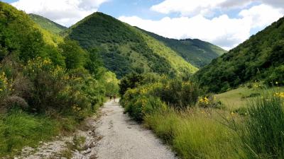 1Valle_Toiano_Cammino_Terre Mutate_TAPPA_Fabriano-Matelica_cammino-terre-mutate-castelluccio-fioritura-aquila-trekking-m