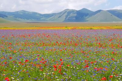 cammino_terre_mutate_fiastra_castelluccio.jpg