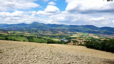 2Territorio_Cammino_Terre_Mutate_Tappa_Matelica-Camerino_cammino-terre-mutate-castelluccio-fioritura-aquila-trekking-mar