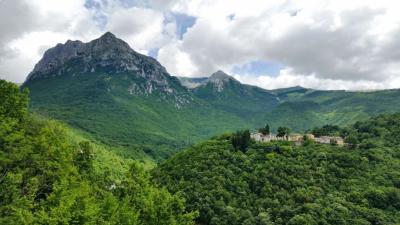 5Ussitacammino-terre-mutate-castelluccio- fioritura-aquila-trekking-marche-umbria-solidale.jpg