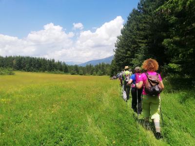 cammino nelle terre mutate.jpg