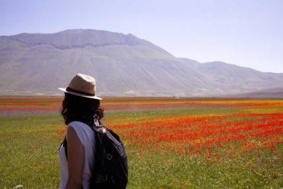castelluccio.jpg